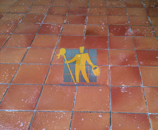 Hobart Terracotta Tile Clean Wet Floor