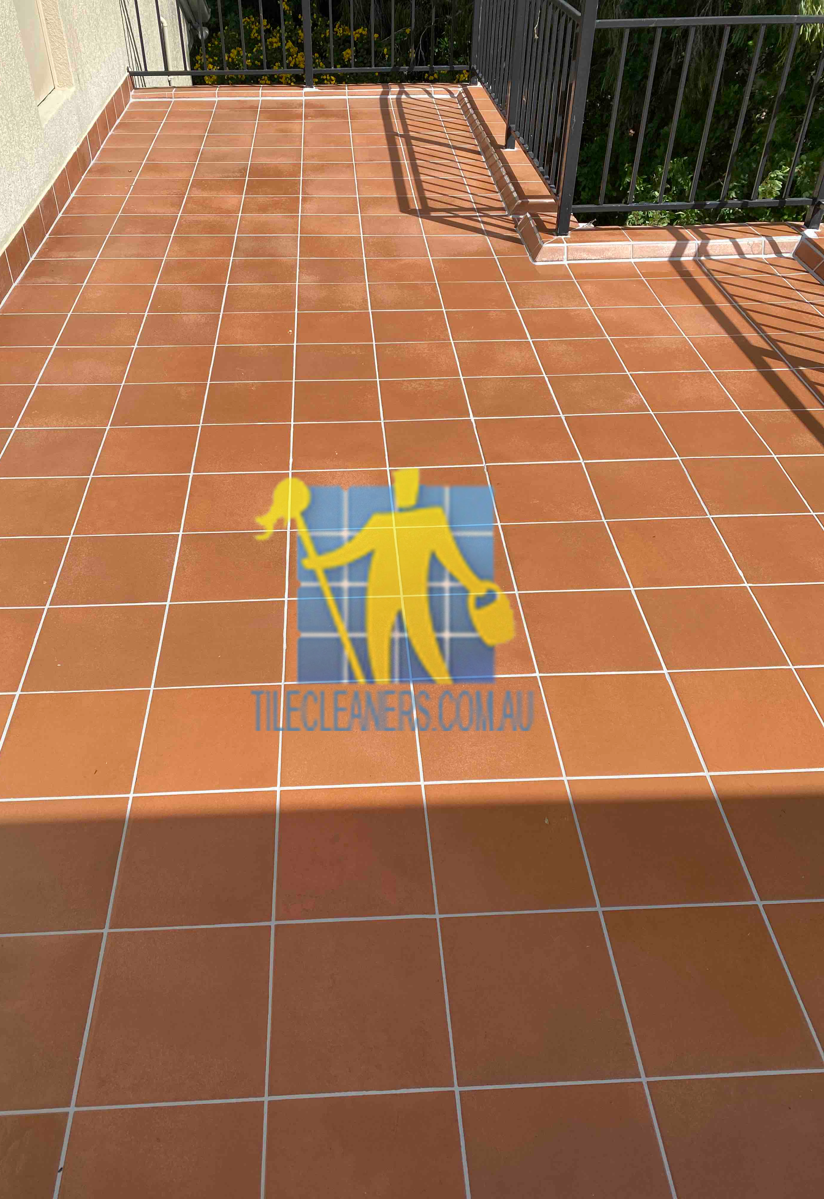 showre tile tilecleaners.png porcelain office floor