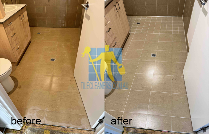 bathroom tile cleaning sealing regrouting Rosewater