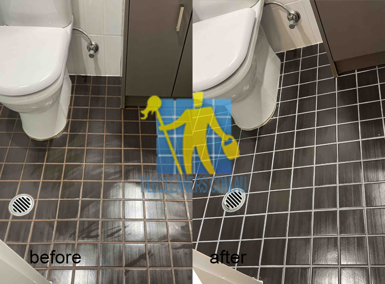 bathroom tile cleaning sealing regrouting Leawood Gardens