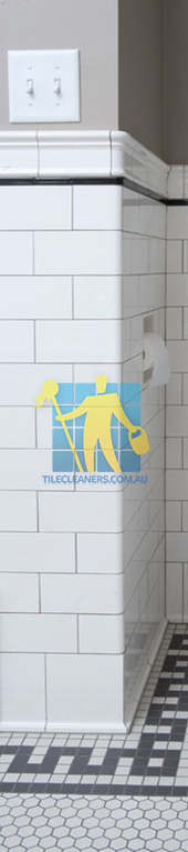 historic reproduction subway tile for the walls and unglazed porcelain hexagons for the floor Sydney/Southern Sydney