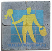 Canberra/Belconnen/Dunlop bluestone tiles tumbled sample zoomed
