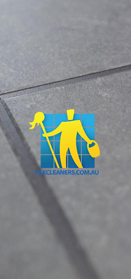 Adelaide Airport/West Torrens/favicon.ico bluestone tile sample dark grout zoomed