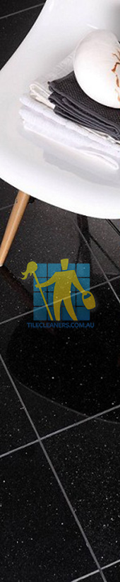 granite tile black galaxy Sydney/Perth/Fremantle/favicon.ico