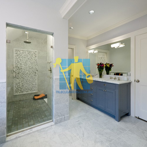 Brooklyn Park marble tiles floor wall bardiglio marble tumbled light with shower