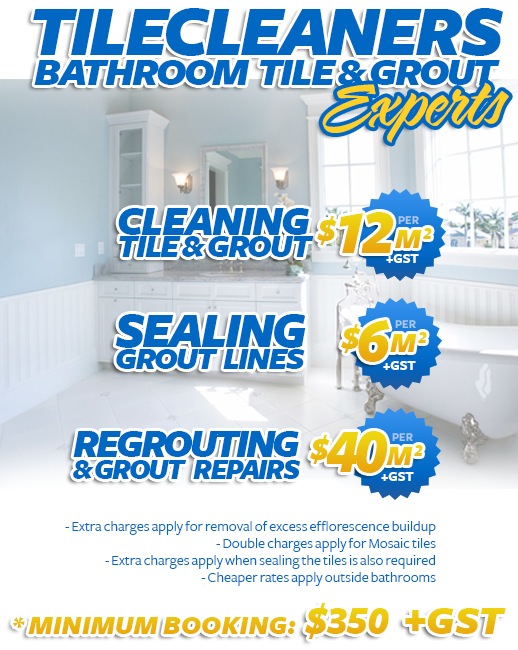 bathroom tile cleaning sealing regrouting Waterloo Corner 