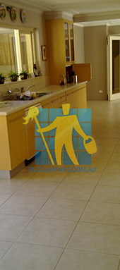 porcelain tiles floor inside furnished home after cleaning kitchen floors Sydney/Lower North Shore