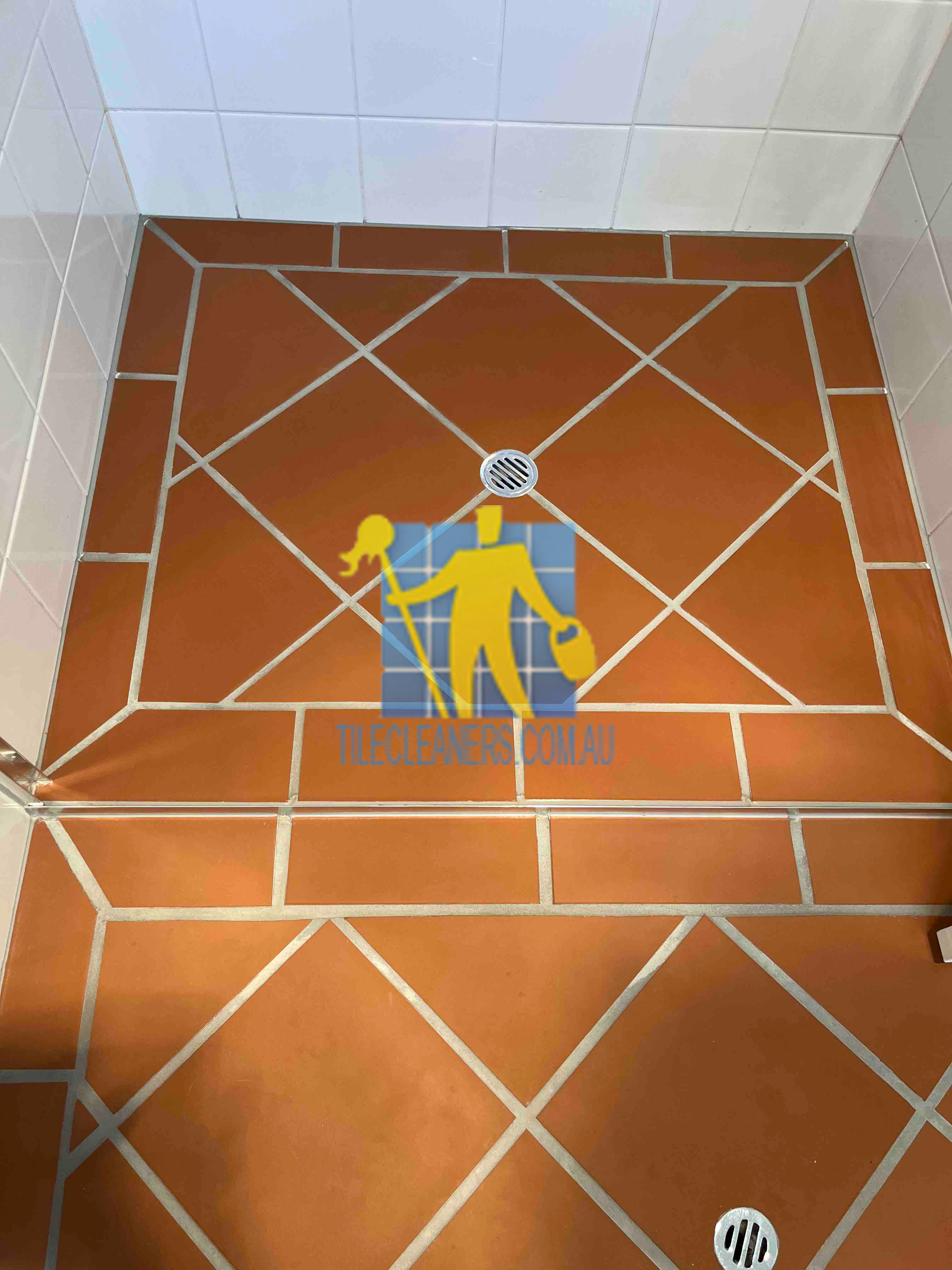 showre tile tilecleaners.png vinyl shiny school floor