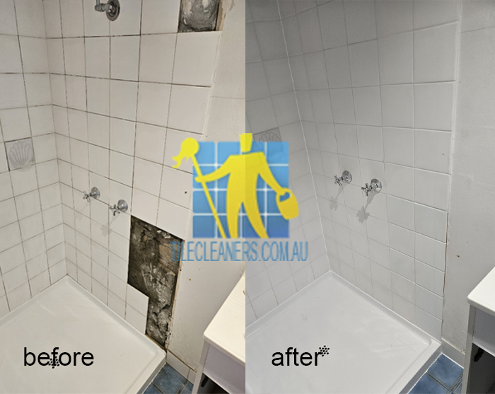 shower repair