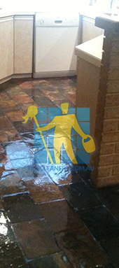shiny slate tiles in kitchen sealed with glossy topical sealer very wet look Canberra/Canberra Central/Downer