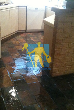 shiny slate tiles in kitchen sealed with glossy topical sealer very wet look Adelaide AdelaideSalisbury Adelaide Adelaide/Salisbury/favicon.ico