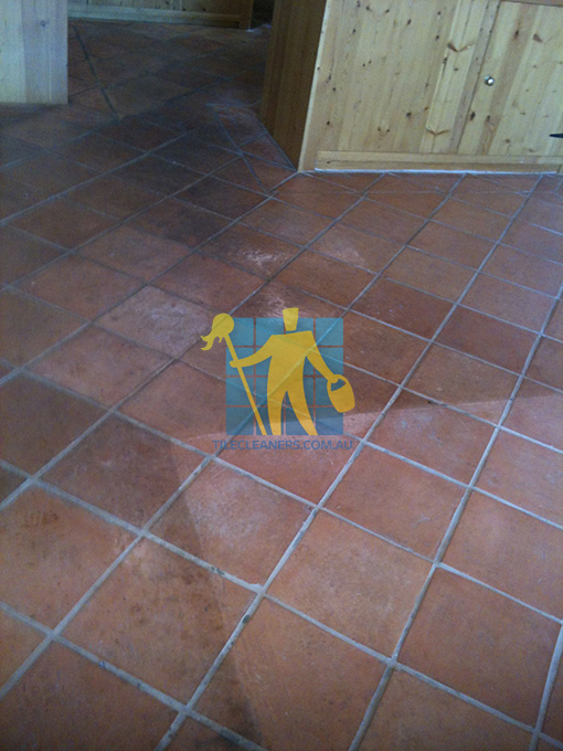terracotta floor tiles before cleaning Rosewater