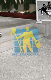 terrazzo tiles indoors grey contemporary furnished Canberra/Gungahlin/Bonner
