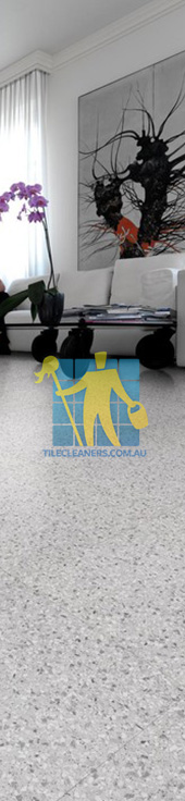 terrazzo tiles inside home floor regular size traditional design Sydney/Perth/Canning/favicon.ico