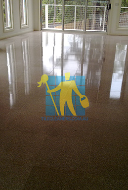 terrazzo tiles large empty room after cleaning shiny shadow Sydney
