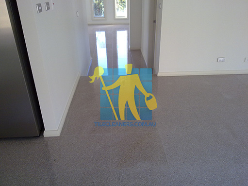 terrazzo tiles empty house dirty with dark stains Holden Hill