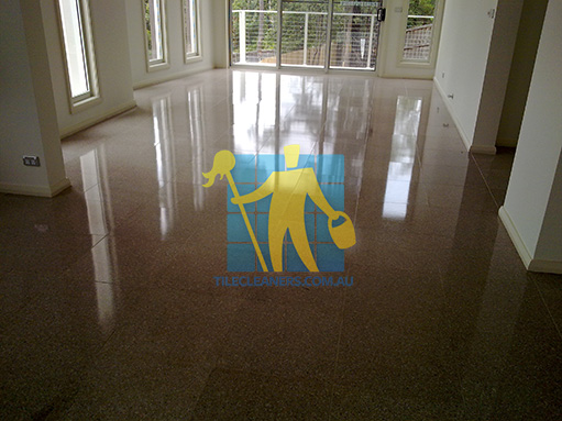terrazzo tiles large empty room after cleaning shiny shadow Melbourne