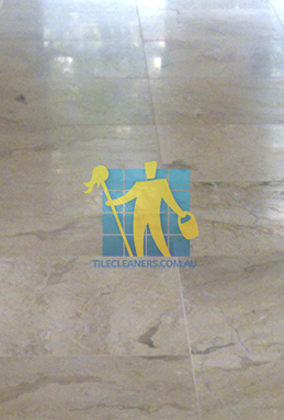 close shot of travertine tiles in large empty livingtoom large tiles after cleaning Sydney/Perth/Stirling/favicon.ico